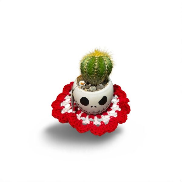 cactus x01 - Image 3